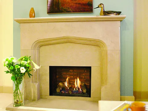 fireplace in living room with flowers placed in front 